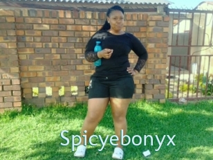 Spicyebonyx