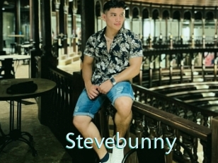 Stevebunny