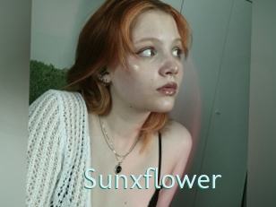 Sunxflower