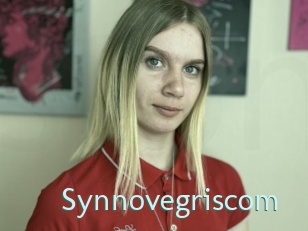 Synnovegriscom