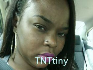 T_N_Ttiny