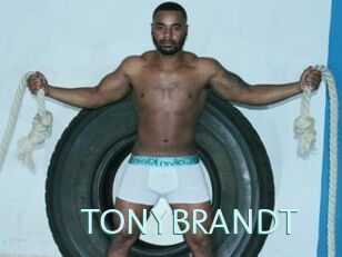 TONYBRANDT