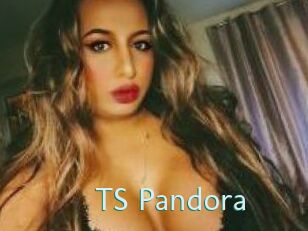 TS_Pandora