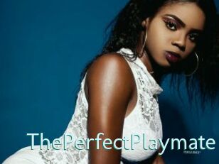 ThePerfectPlaymate