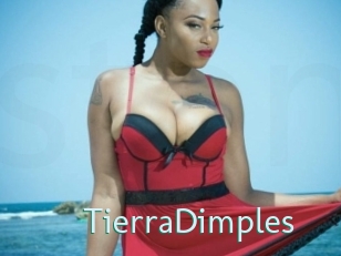 TierraDimples
