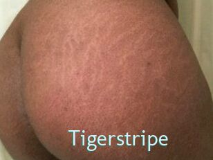 Tigerstripe