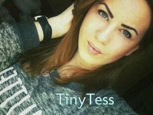 TinyTess