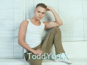 ToddYorkX