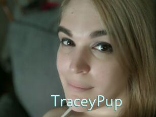 TraceyPup