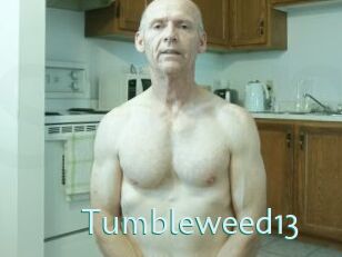 Tumbleweed13 Straponles