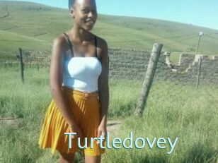 Turtledovey