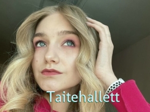 Taitehallett