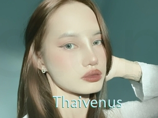 Thaivenus