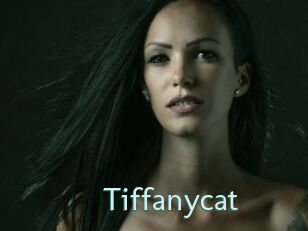 Tiffanycat