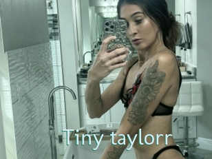 Tiny_taylorr