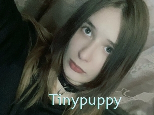 Tinypuppy