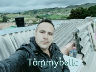 Tommybello