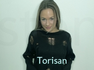 Torisan