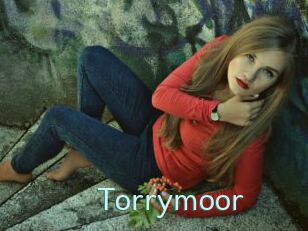 Torrymoor