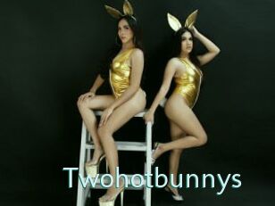 Twohotbunnys