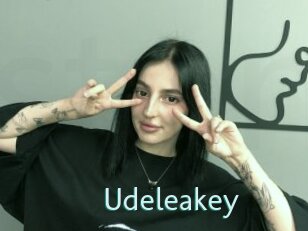 Udeleakey