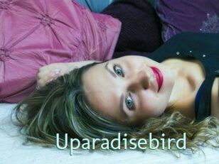 uparadisebird Straponles