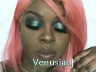 VenusianJ