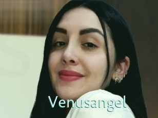 Venusangel