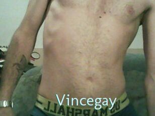 Vincegay