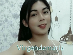 virgendemaria Straponles