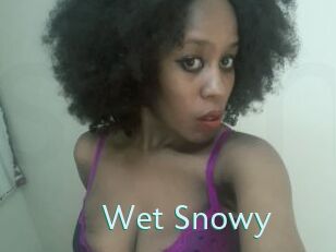 Wet_Snowy