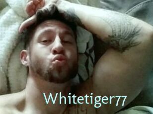 Whitetiger77