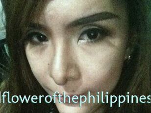 Wildflowerofthephilippines