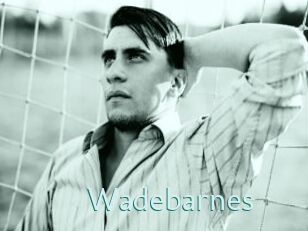 Wadebarnes