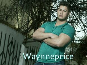 Waynneprice