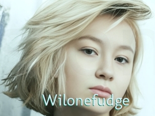Wilonefudge
