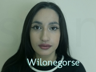 Wilonegorse