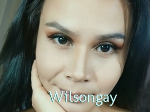 Wilsongay