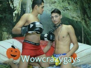 Wowcrazygays