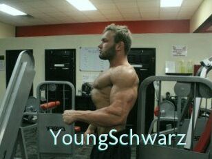 YoungSchwarz Straponles