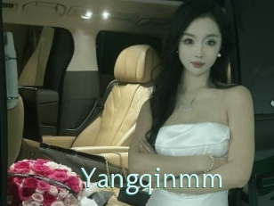 Yangqinmm