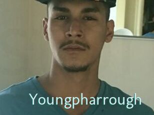 youngpharrough Straponles