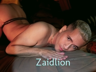 Zaidlion