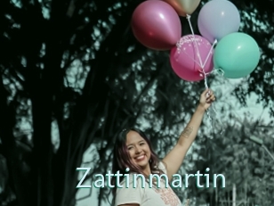 Zattinmartin