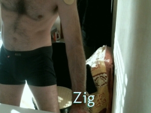 Zig