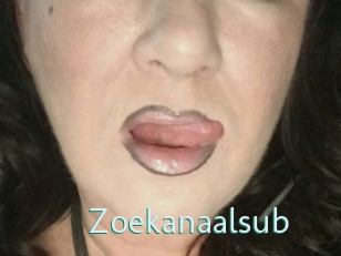 Zoekanaalsub